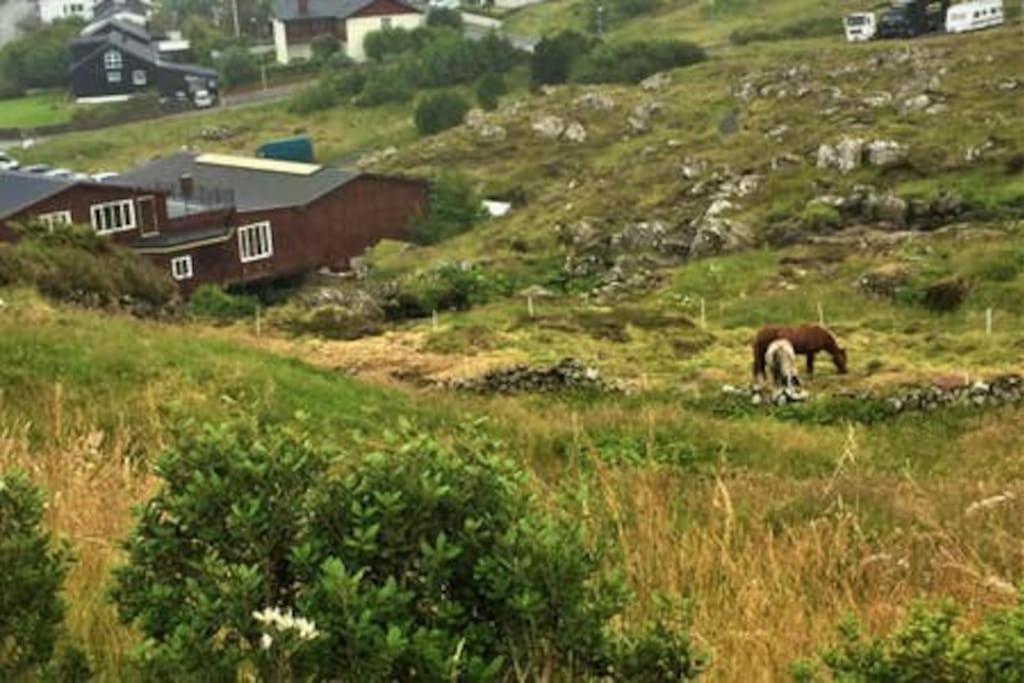 Hyggelig Lejlighed Ved Aen - Flot Udsigt Tórshavn Zewnętrze zdjęcie